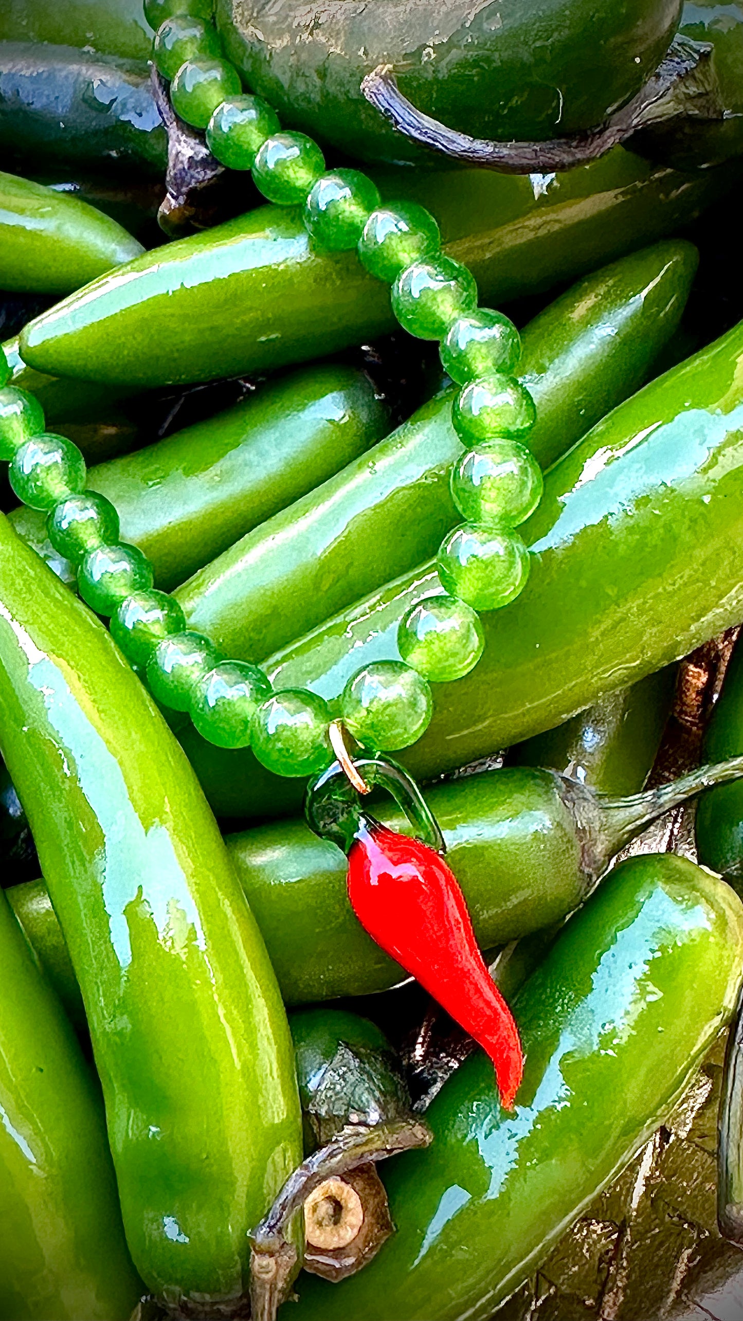Chili Pepper Necklace
