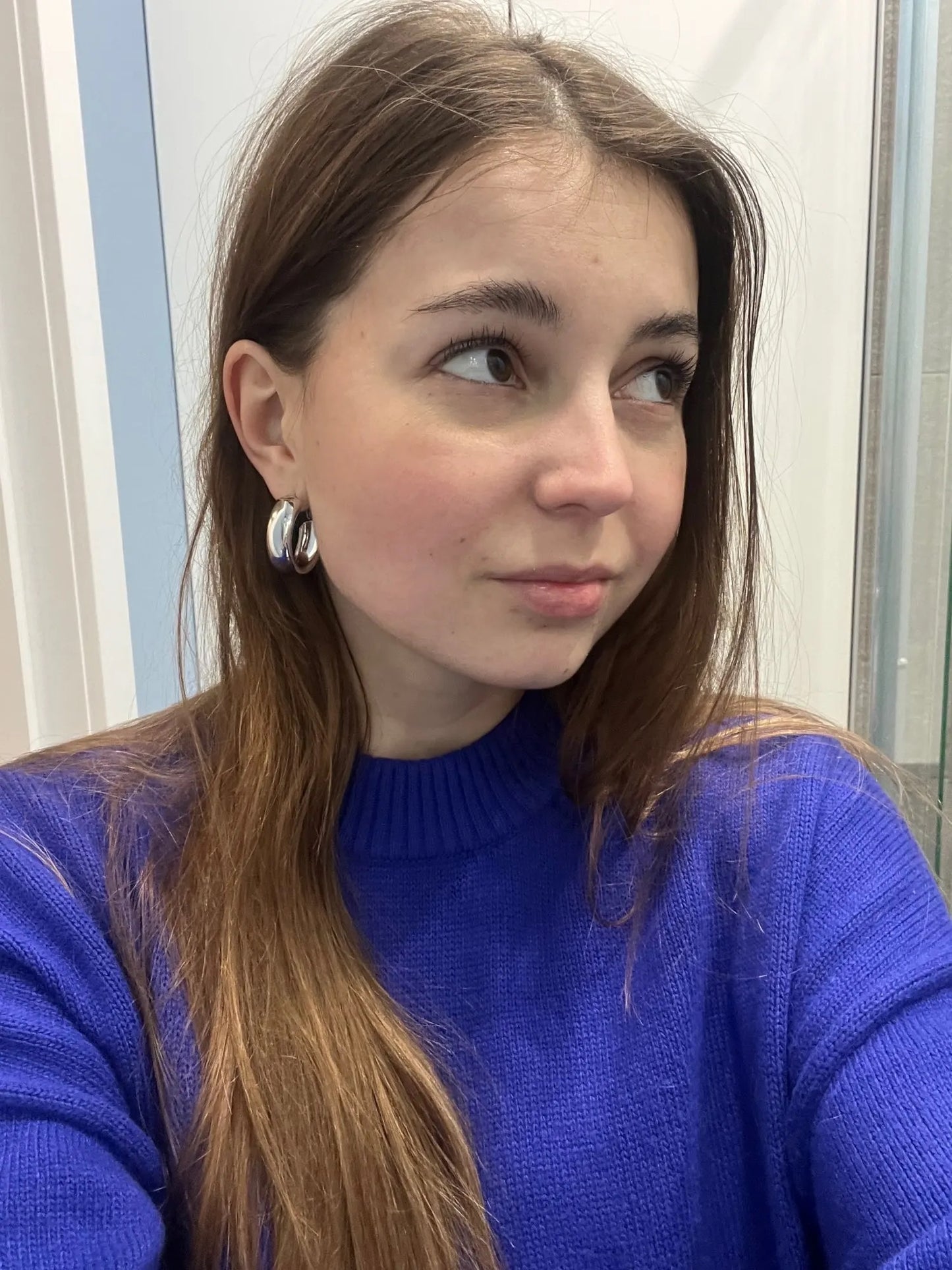 Silver Hoops Earrings