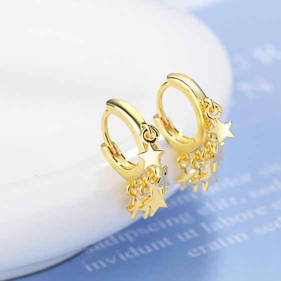 Ministarg Earrings - ROCKmint
