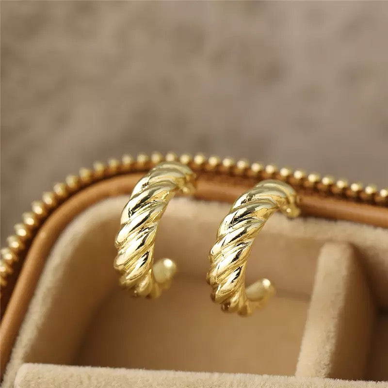 Strugle Hoops Earrings - ROCKmint