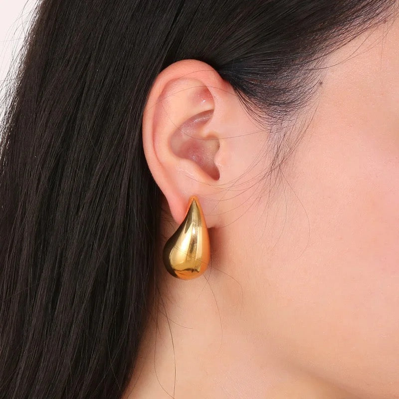 Veneta Gold Earrings