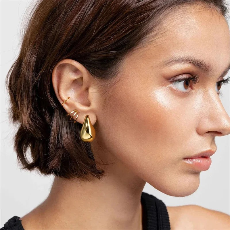 Veneta Gold Earrings