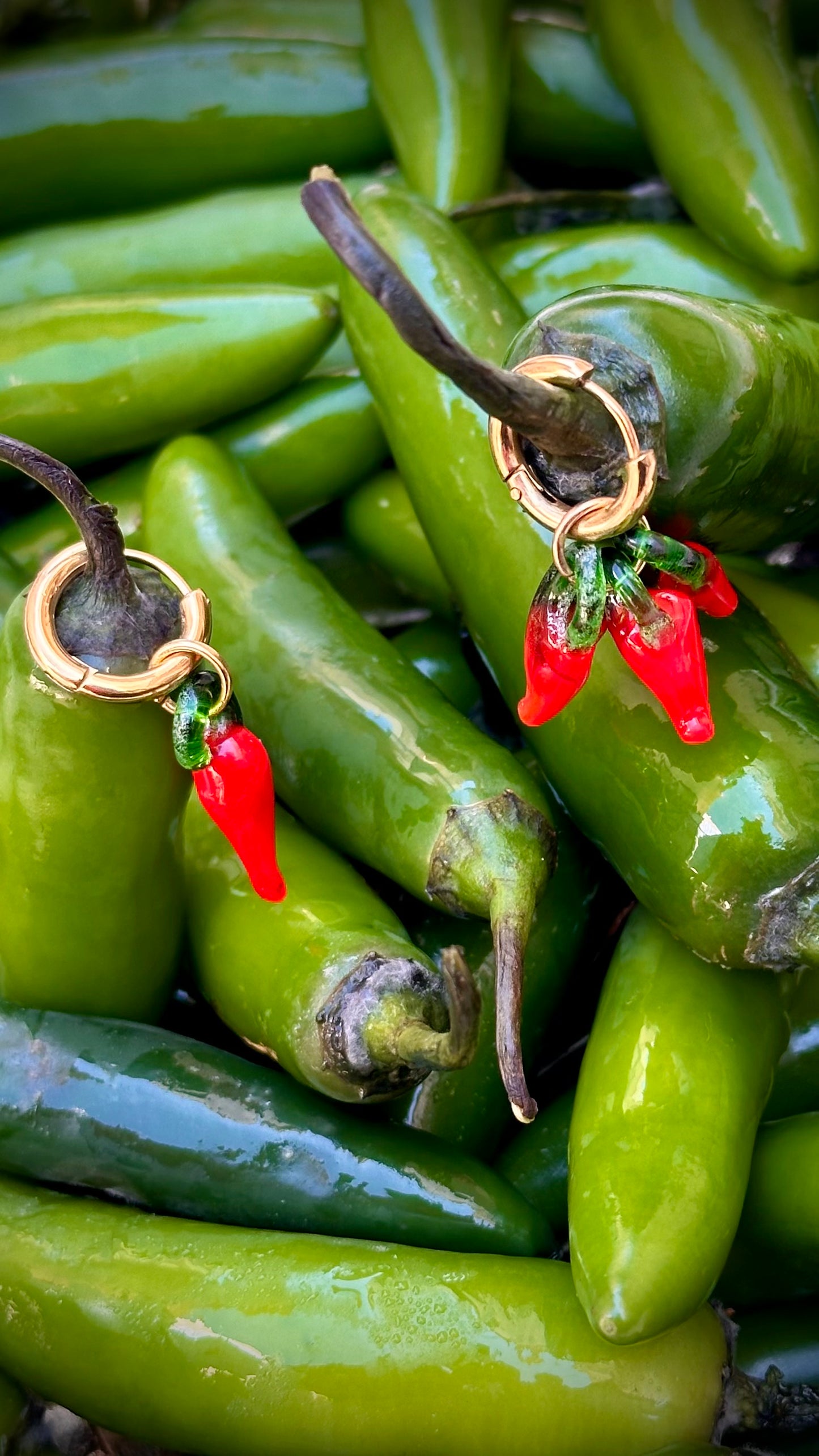 Chili Pepper Desigual Earrings
