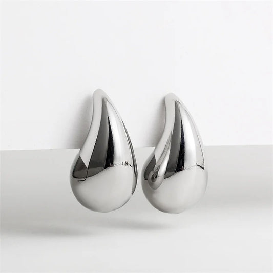 Veneta Silver Earrings