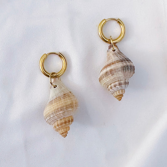 Real Shell Earrings